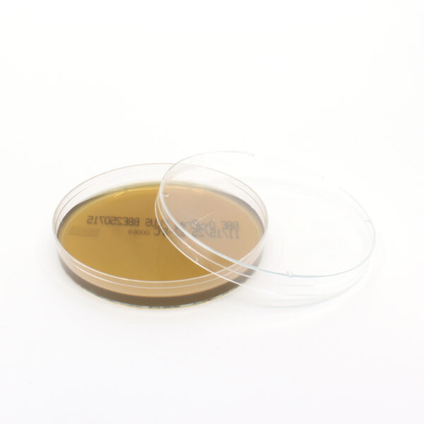 BBE Agar Plate