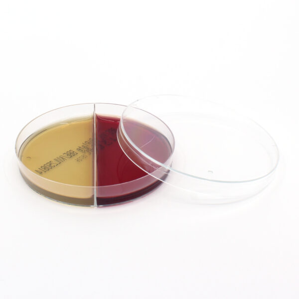 BBE/KVL Bi-Plate
