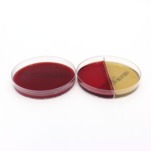 Multi Pack: Brucella and BBE/KVL Bi-Plate