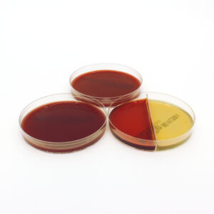 3-pack: Brucella, PEA and BBE/KVL Bi-Plate