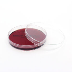 KVL Blood Agar Plate