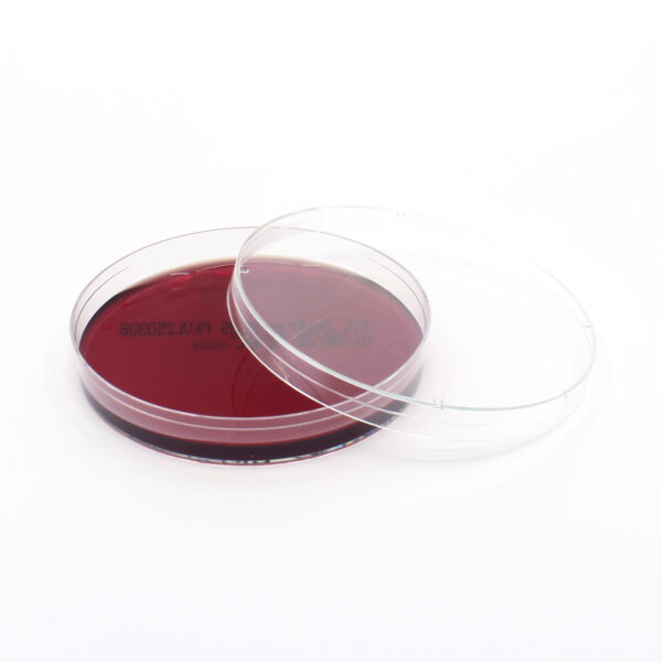KVL Blood Agar Plate