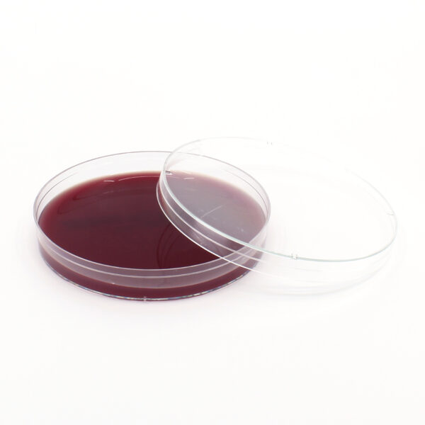 PEA Blood Agar Plate