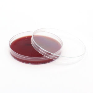 StrictAna Blood Agar Plate