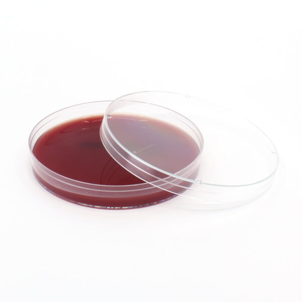 StrictAna Blood Agar Plate