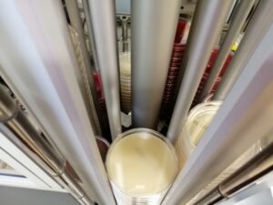 Media plates in the hold tank