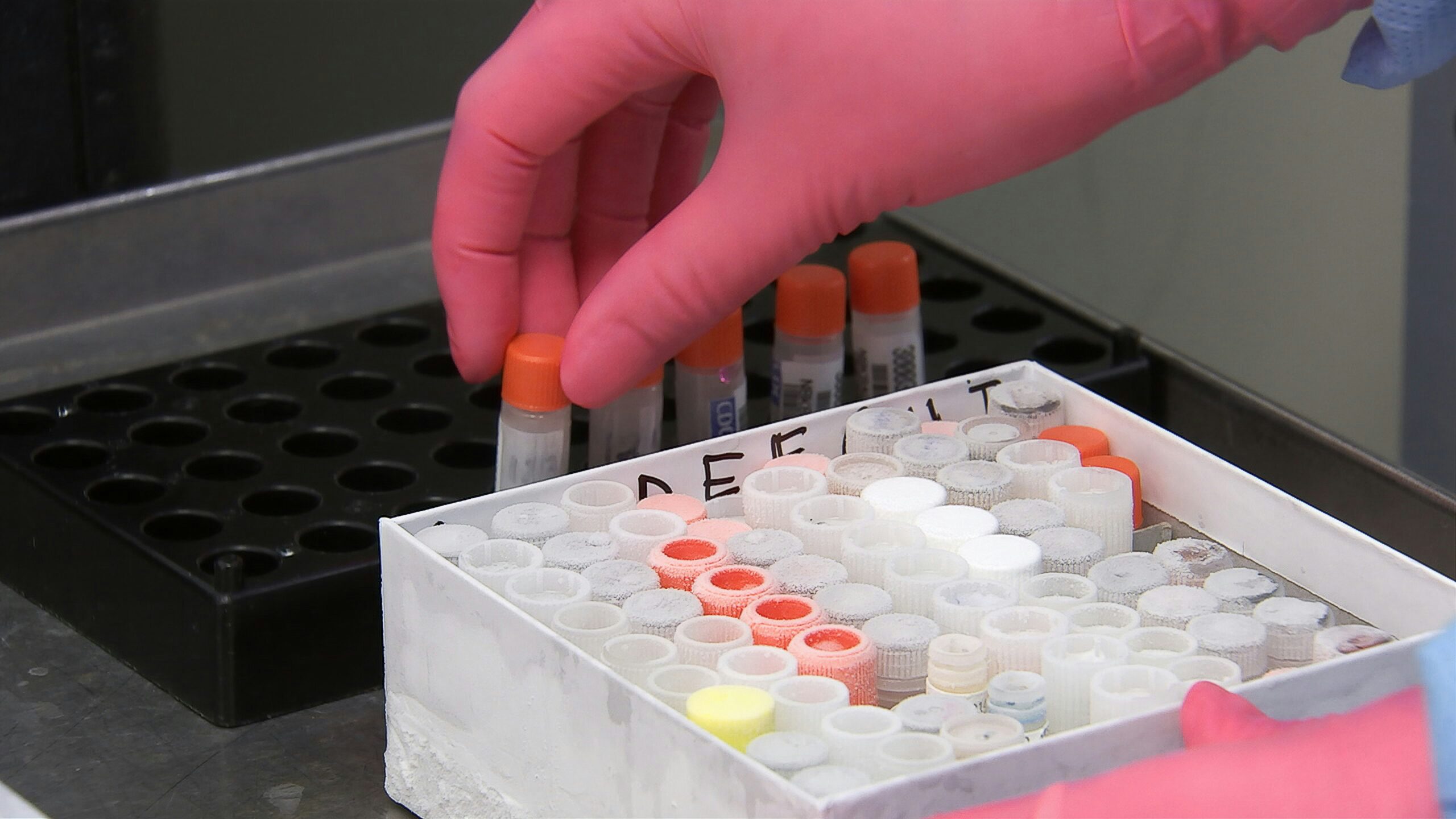 Laboratory cryopreservation setup showing Oxyrase CryoBroth and liquid nitrogen storage