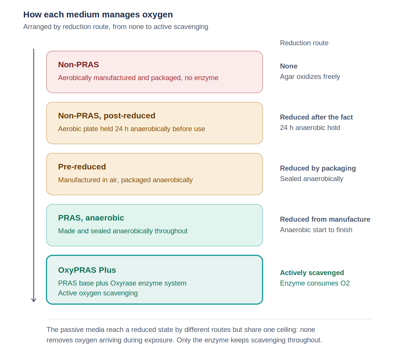 Diagram comparing how five Brucella agars manage oxygen, from non-PRAS with no reduction through post-reduced, pre-reduced and PRAS anaerobic media to OxyPRAS Plus with active enzymatic oxygen scavenging