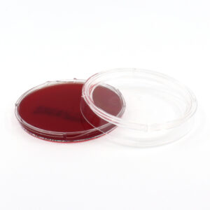 PEA Blood Agar OxyPlate™